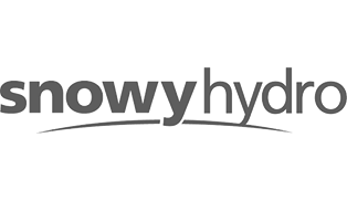 Snowy Hydro